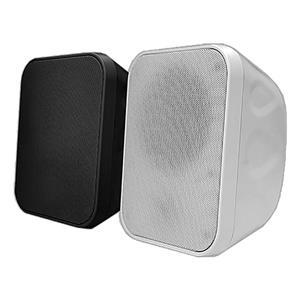 اسپیکر دیواری SPG51