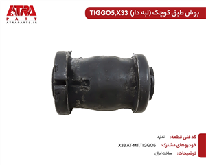 بوش طبق کوچک TIGGO5