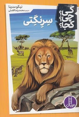سرنگتی – کی؟ چی؟ کجا؟