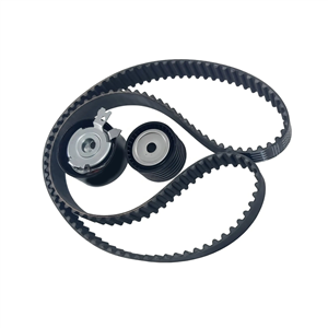 کیت تسمه تایم 104 پژو 206 تیپ 2 – رایکالتون