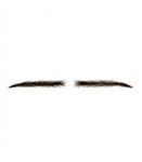 ابرو مصنوعی ولاسی زنانه مدل Vlasy Women Human Hair Eye Brows KS-W731-32