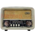 رادیو و اسپیکر بی سیم کلاسیک مدل BTNS Vintage Radio