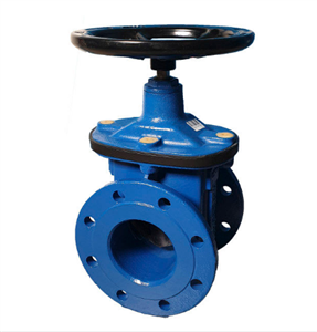 شیر کشویی 2 اینچ PN16 زبانه لاستیکی  میراب 