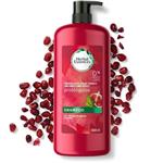 شامپو ترمیم کننده موهای بلند ورنگ شده هربال اسنسز Herbal Essences Prolongalos حجم 1000 میلی لیتر