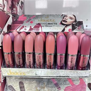 جین 24عددی رژ لب مایع دوسه لانگ لستینگ مات doucce lasting matte lip gloss 