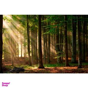 تابلو شاسی طرح طبیعت ارامش بخش کد 192