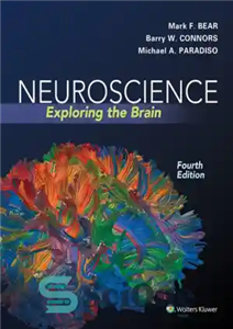 دانلود کتاب Neuroscience Exploring the Brain – عصب شناسی در حال کاوش در مغز