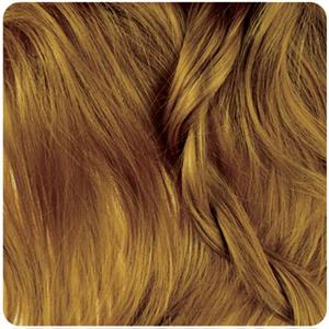 کیت رنگ موی Bio l شماره 6.3 بلوند طلایی تیره Biol 6.3 Dark Golden Blnd Hair Color Kit