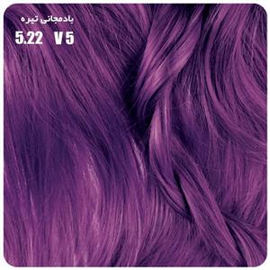 کیت رنگ موی Bio l شماره 5.22 بادمجانی تیره Biol 5.22 Dark Violet Hair Color Kit