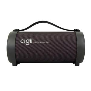 اسپیکر بلوتوث سی جی مدل اس 11اف Cigii S11f Bluetooth Speaker 