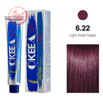 رنگ مو شماره 6.22 (Light Violet Grape) 100 میل