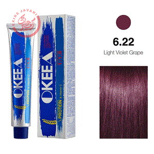 رنگ مو شماره 6.22 (Light Violet Grape) 100 میل 