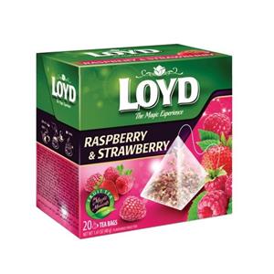 دمنوش تمشک توت فرنگی لوید بسته 20 عددی Loyd Strawberry and Raspberry Herbal Tea 