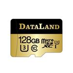 dataland micro sd