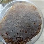 عسل طبیعی  سبد باموم کاملا خودبافت
