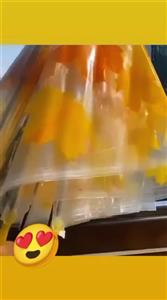 چتر شیشه ای طرح برگ ریزان پاییز