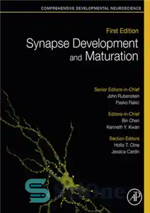 دانلود کتاب Synapse Development and Maturation: Comprehensive Developmental Neuroscience – توسعه و بلوغ سیناپس: علوم اعصاب تکاملی جامع