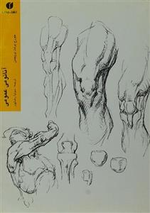 کتاب آناتومی عمومی اثر جورج برنت بریجمن Constructive Anatomy