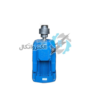 کارواش صنعتی 110 بار برتولینی ایتالیا سه فاز