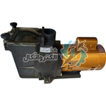 پمپ 2 اسب استخری پریمیر مدل SP 2001 ا Pool Filtration Pump