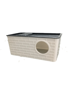 لانه پرنده مرغ عشق