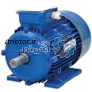 الکتروموتور سه فاز کایجلی بدنه چدن 1 اسب 3000 دور