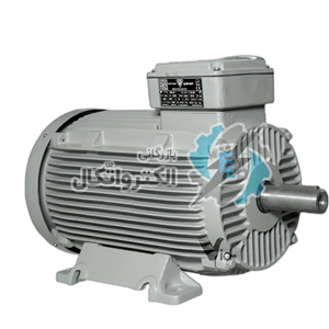 الکتروموتور سه فاز چدنی 3000 دور Motogen 250kw-315fr