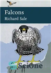 دانلود کتاب Falcons – شاهین ها