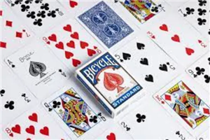 پاسور بایسیکل استاندارد