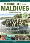 دانلود کتاب Marine Life of the Maldives – Indian Ocean – زندگی دریایی مالدیو – اقیانوس هند
