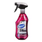 Rafooneh Anti Steam Glass Cleaner 500ml