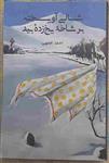 کتاب شالی آویخته بر شاخه یخ زده بید، احمد افقهی
