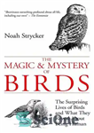 دانلود کتاب The Magic and Mystery of Birds – جادو و رمز و راز پرندگان