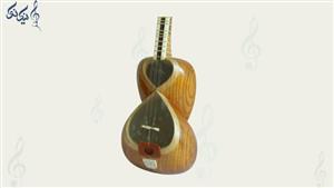 تار حرفه ای امیر موسوی کد 2