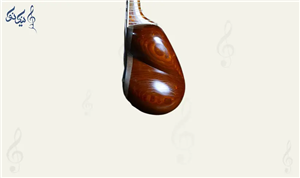تار حرفه ای شیوا