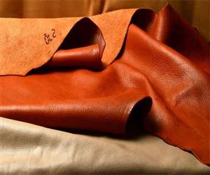 اسانس خوشبو کننده چرمی چوبی ( Woody Leather )
