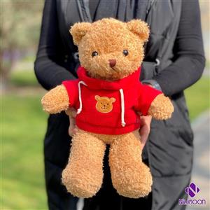 عروسک خرس هودی دار تدی اورجینال
