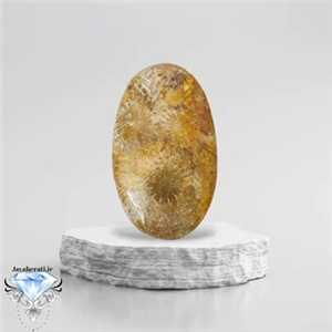 نگین مرجان فسیلی طبیعی