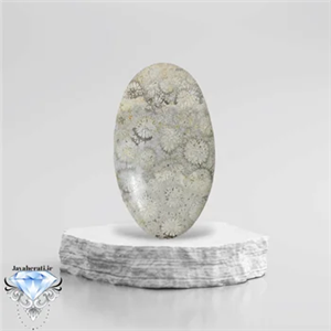 نگین فسیل مرجان بیضی