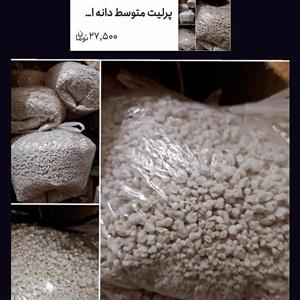 پرلیت متوسط دانه اصلی ریشه زایی گل
