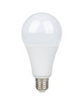 لامپ کم مصرف 13وات LED حبابی امید پدیده