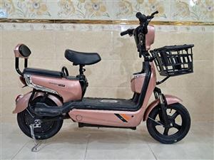 موتور سیکلت برقی ( اسکوتر برقی ) E.BIKE مدل X1  قهوه ای 