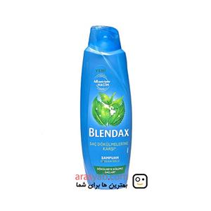 شامپو گزنه بلنداکس Blendax با خاصیت ضد ریزش قدرتمند حجم 500 میل 