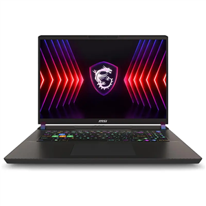 لپ تاپ 17 اینچی ام اس ای