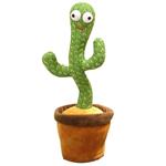 کاکتوس سخنگوی رقصنده | dancing cactus
