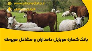 بانک شماره موبایل دامداران و علاقمندان دامداری