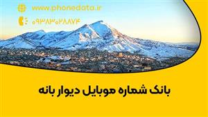 بانک شماره موبایل دیوار بانه