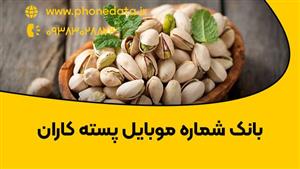 بانک شماره موبایل پسته کاران