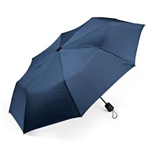 چتر تاشوی سرمه‌ای بی ام و BMW