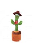 اسباب بازی مدل کاکتوس رقصنده و سخنگو همراه با شال و کلاه رنگی کد ped01